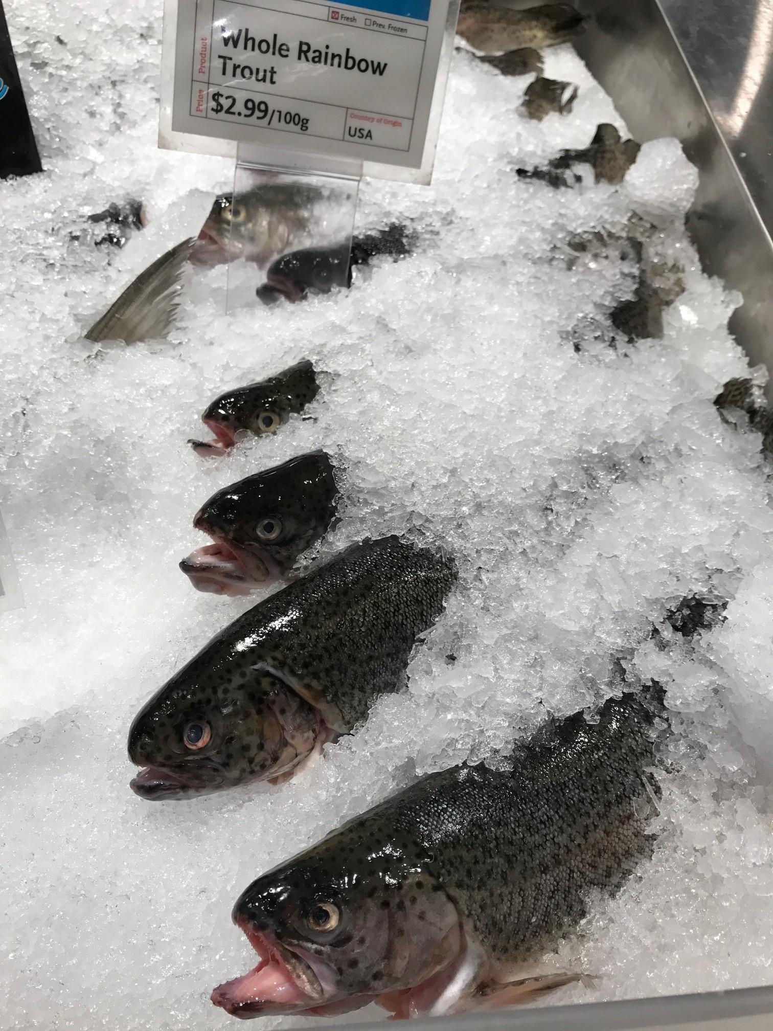 Fastest Safe Fish Thawing Technique: Save Time & Prevent Spoilage - 268c4st