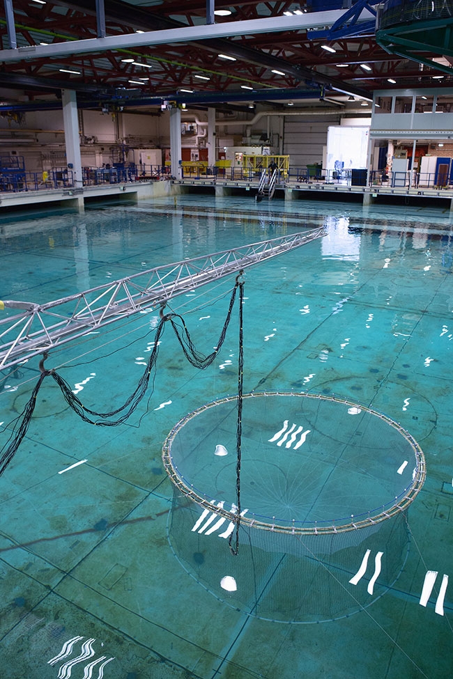 Nl Town Hosts Sea Cage Construction Business Aquaculture North America