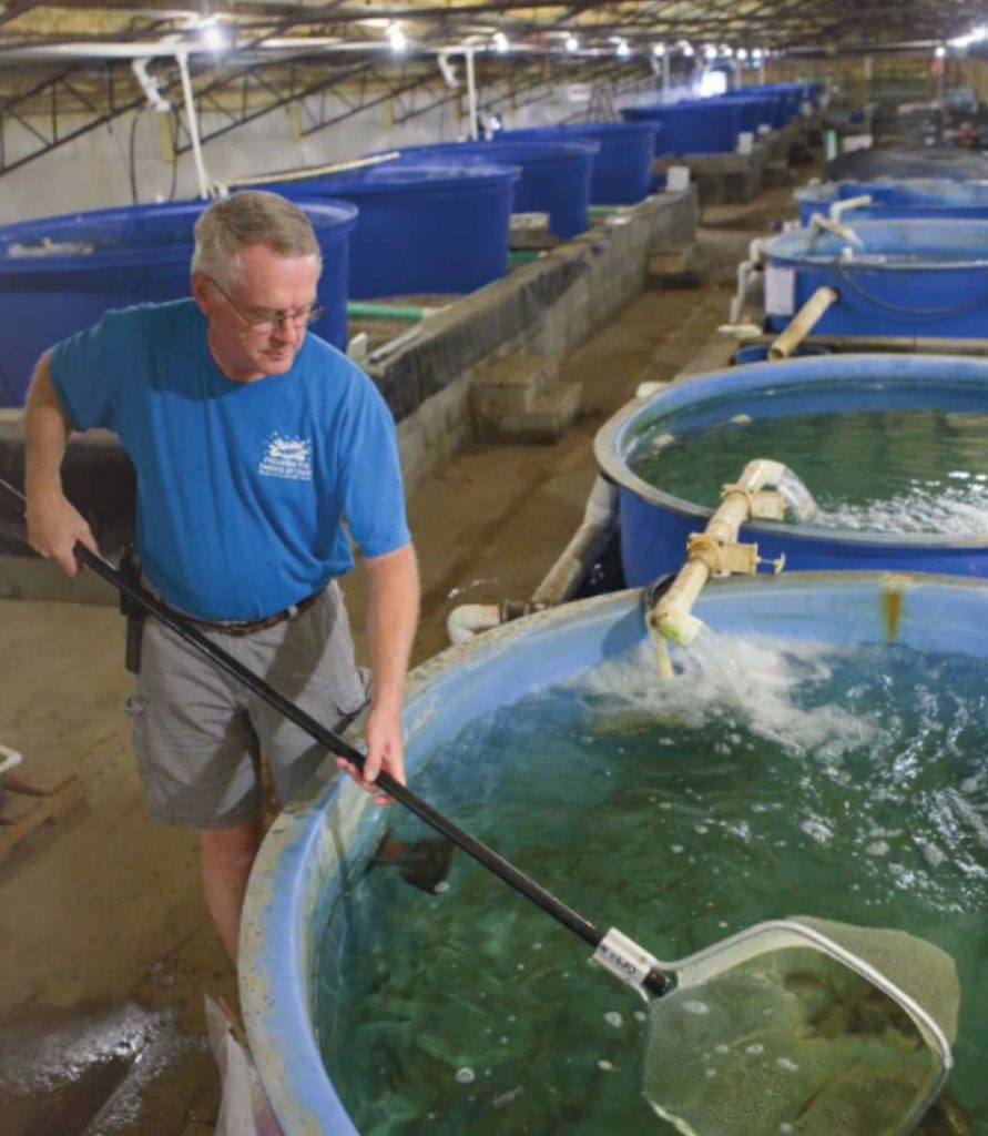 Ohio's largest indoor fish hatchery traces journey from trout to shrimps -  Aquaculture North America