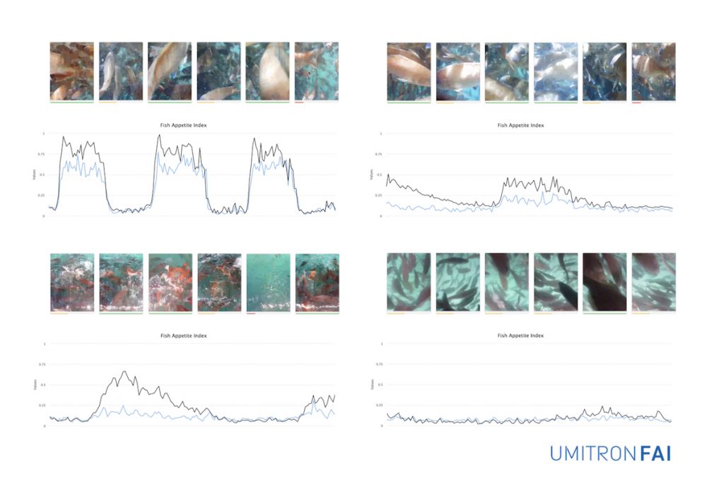 Growth Technology Feeding Chart