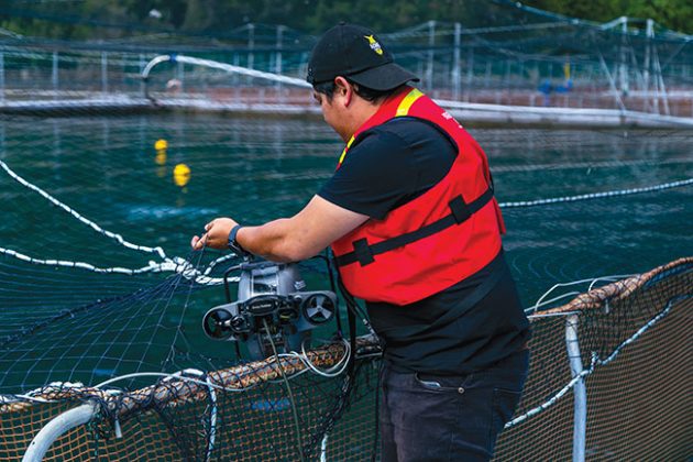 Robotic Solutions For Aquaculture Aquaculture North America