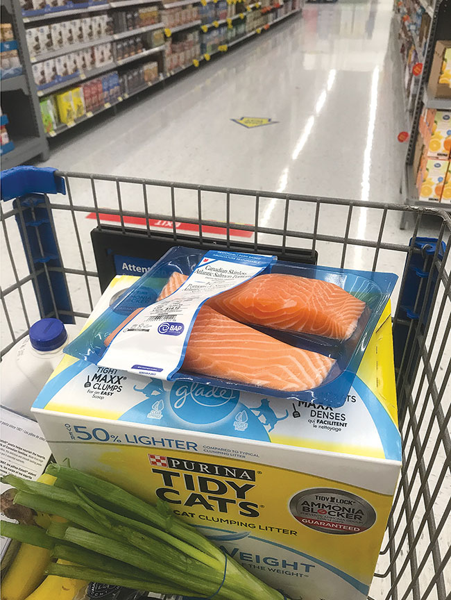 BAP-certified-salmon