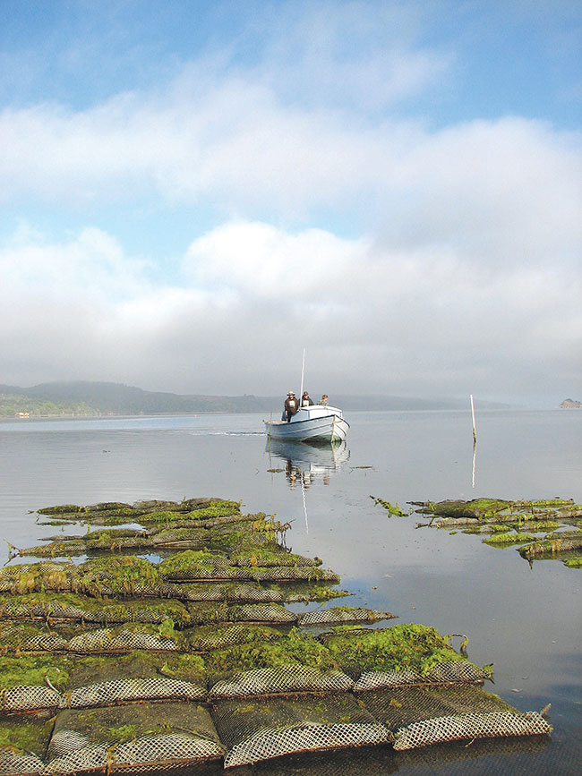 Pic-5-Hog-Island-Harvest-on-boat.-Photo-Credit-Brenna-Schlagenhauf